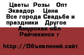 Цветы. Розы.  Опт.  Эквадор. › Цена ­ 50 - Все города Свадьба и праздники » Другое   . Амурская обл.,Райчихинск г.